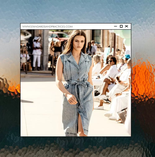 Modern Day Wife X Standards and Practices