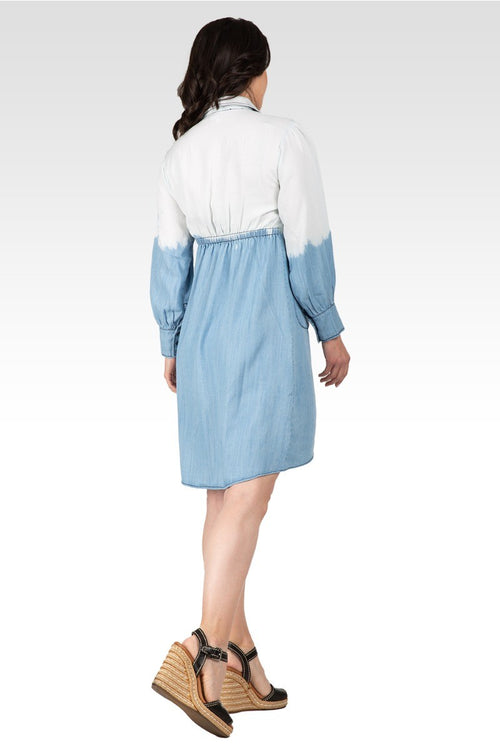 Vienna Women's Ombre Shirt Dress