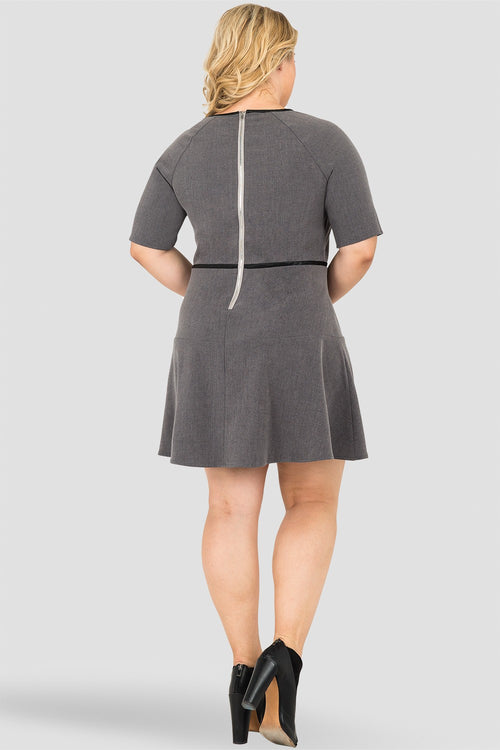 Plus Size Standards & Practices Women's Curvy Fit Tina Charcoal Gray Blue A-Line Suiting Mini Dress