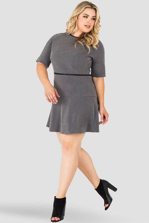 Plus Size Standards & Practices Women's Tina Charcoal Gray Blue A-Line Suiting Mini Dress