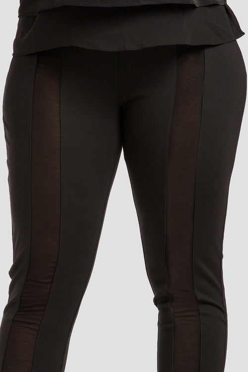 Plus Size cindy ponte leggings standards practices
