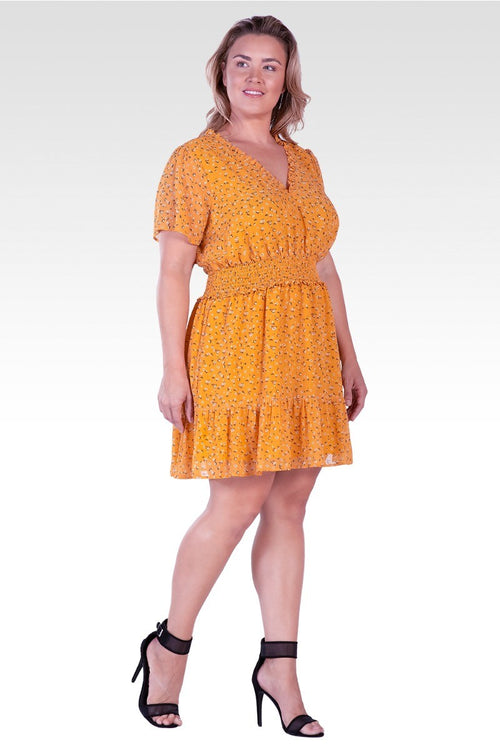 Zaria Women's Plus Size Floral Print Short Sleeve Mini Dress