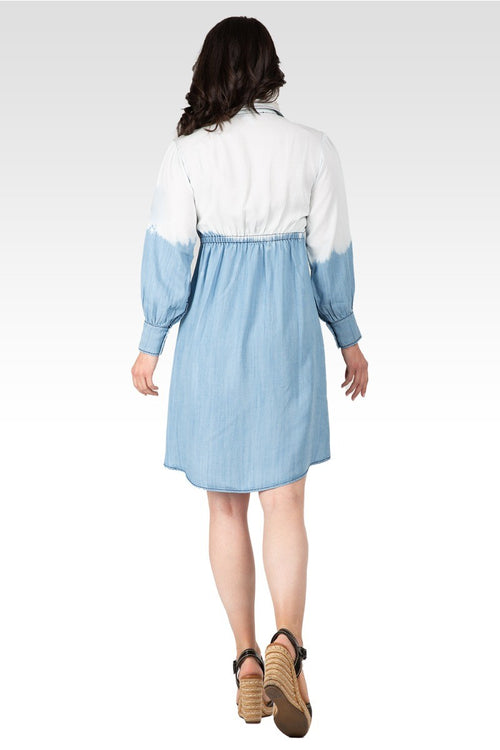 Vienna Women's Ombre Shirt Dress
