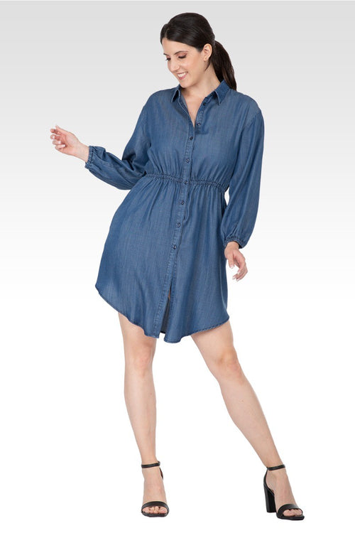 Nora Women's Long Sleeves Buttoned Down Elastic Waist Shirt Dress